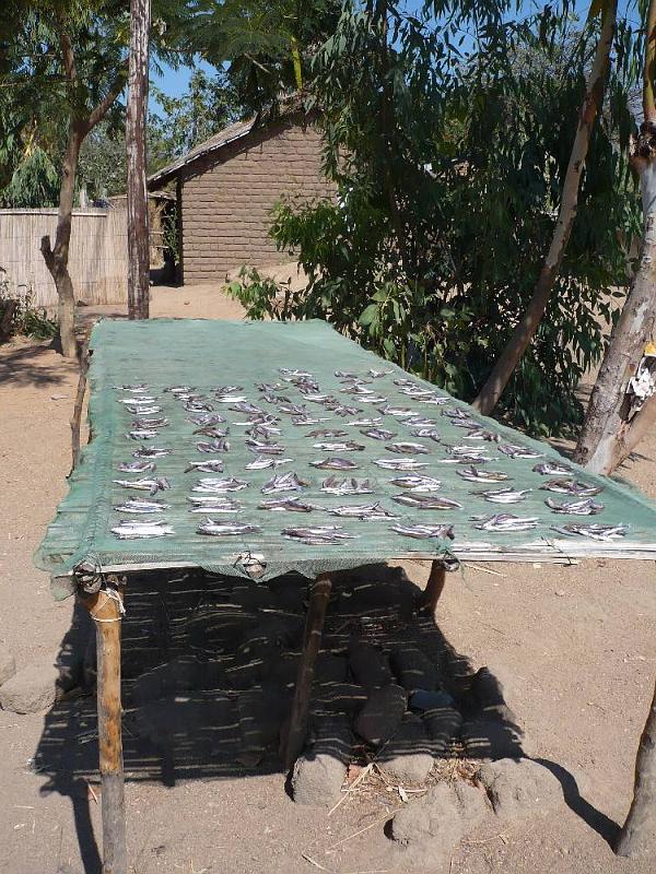 image028.JPG - getrocknete Fische auf der "Hauptstraße"