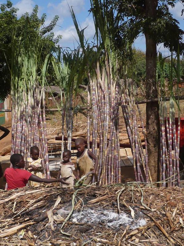 imageB008.jpg - Verkauf von Zuckerrohr am Straßenrand
