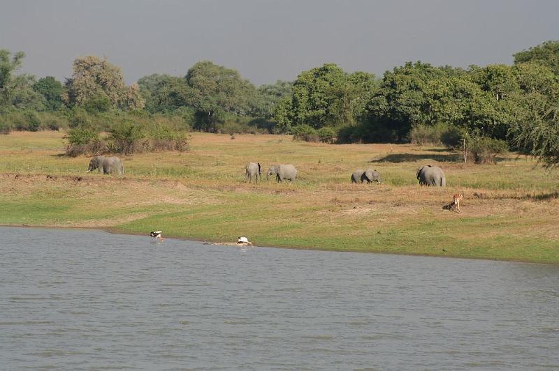 sambiaA026.jpg - Lagune im South Luangwa NP