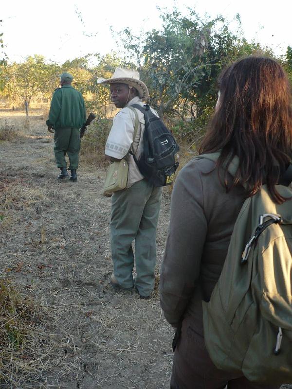 sambiaA045B.jpg - Morning Walk mit bewaffnetem Wildhüter