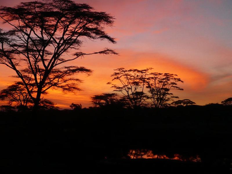 tansC019C.jpg - Sonnenaufgang in der Serengeti