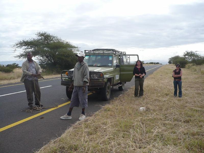 tansD023.jpg - Tank leider leer - warten auf Hilfe