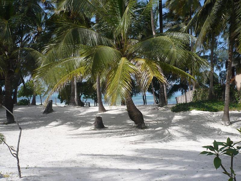 tansE017.jpg - Blick aus unserer Hütte